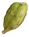 Ingredient