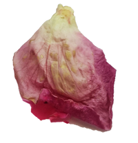 Ingredient