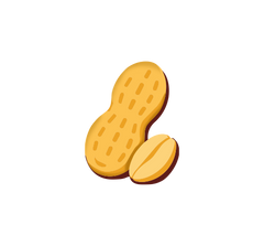 Peanuts