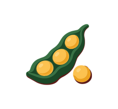 Soy